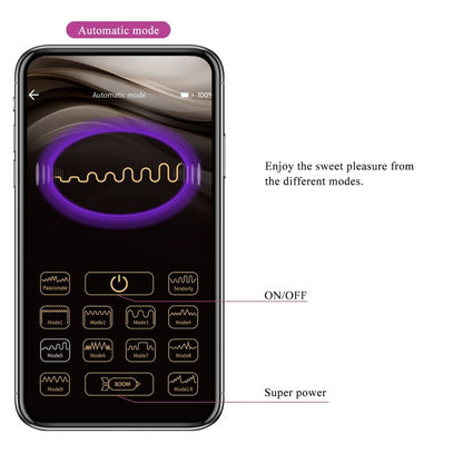 PRETTY LOVE - FISHERMAN APP CONTROLLED  VIBRATING EGG LILA - 12