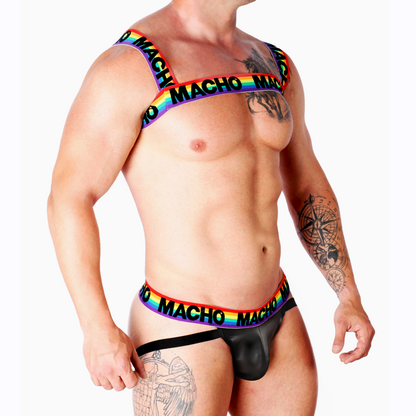 MACHO - DOUBLE HARNESS PRIDE LIMITED - 7