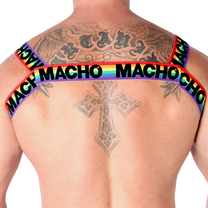 MACHO - DOUBLE HARNESS PRIDE LIMITED - 3