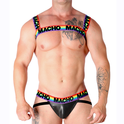 MACHO - DOUBLE HARNESS PRIDE LIMITED - 8