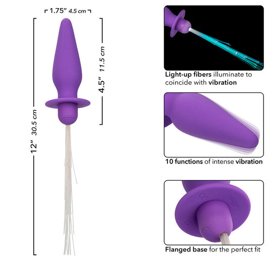 CALEXOTICS - SOUTHERN LIGHTS LIGHT UP ANAL PLUG 10 VIBRATIONS SILICONE PURPLE - 1