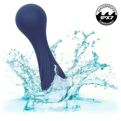 CALEXOTICS - CHARISMA TEMPTATION 12-FUNCTION MASSAGER PURPLE