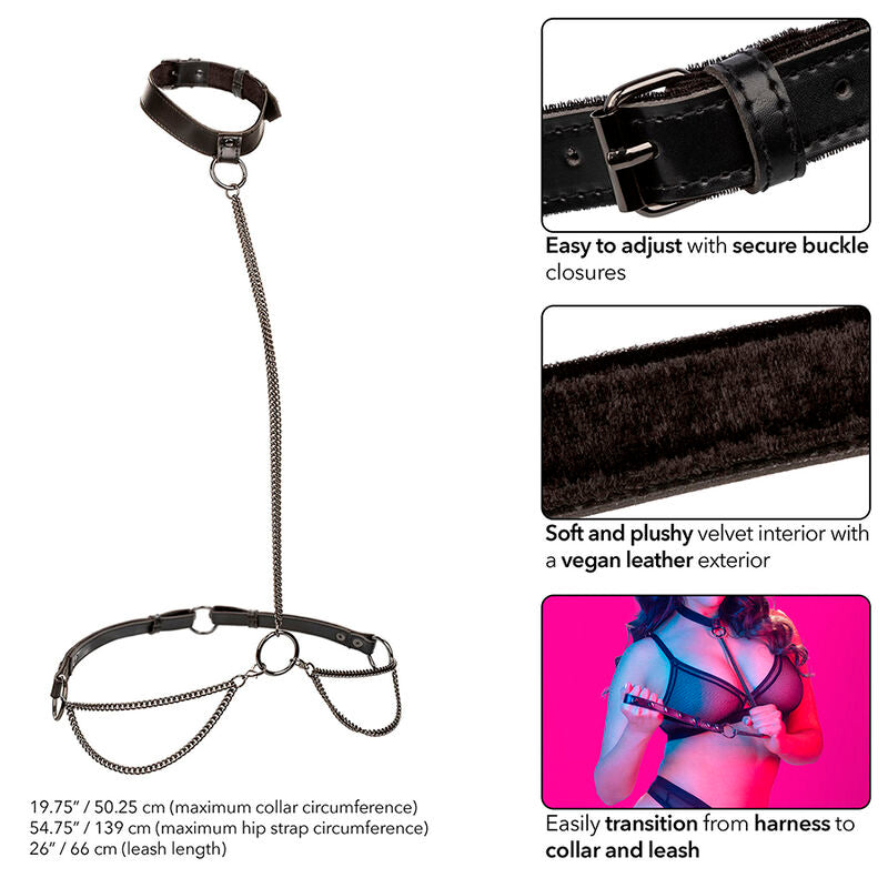 CALEXOTICS - EUPHORIA CHAIN HALTER COLLAR & LEASH PLUS SIZE - 4