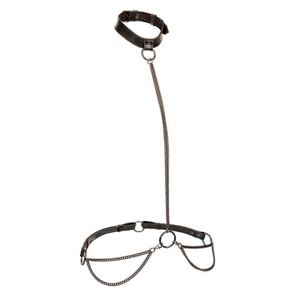 CALEXOTICS - EUPHORIA CHAIN HALTER COLLAR & LEASH PLUS SIZE - 6