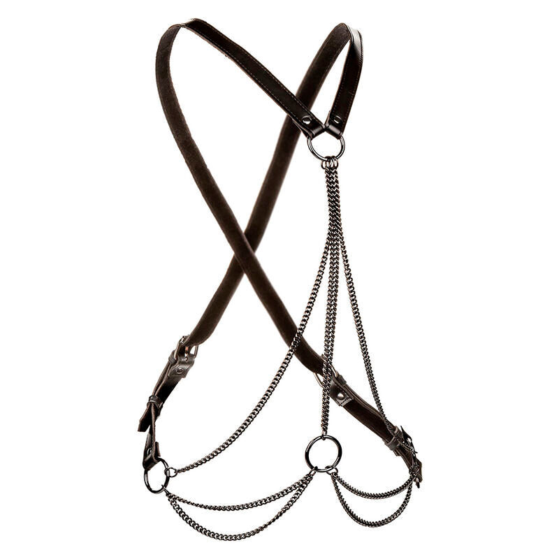 CALEXOTICS - EUPHORIA MULTICHAIN HARNESS PREMIUM - 5