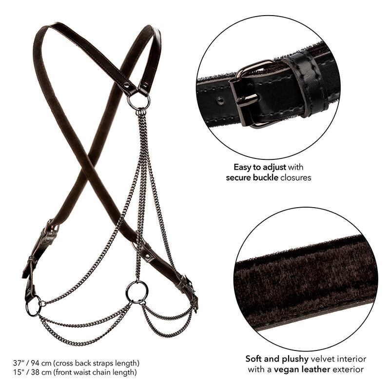 CALEXOTICS - EUPHORIA MULTICHAIN HARNESS PREMIUM - 2