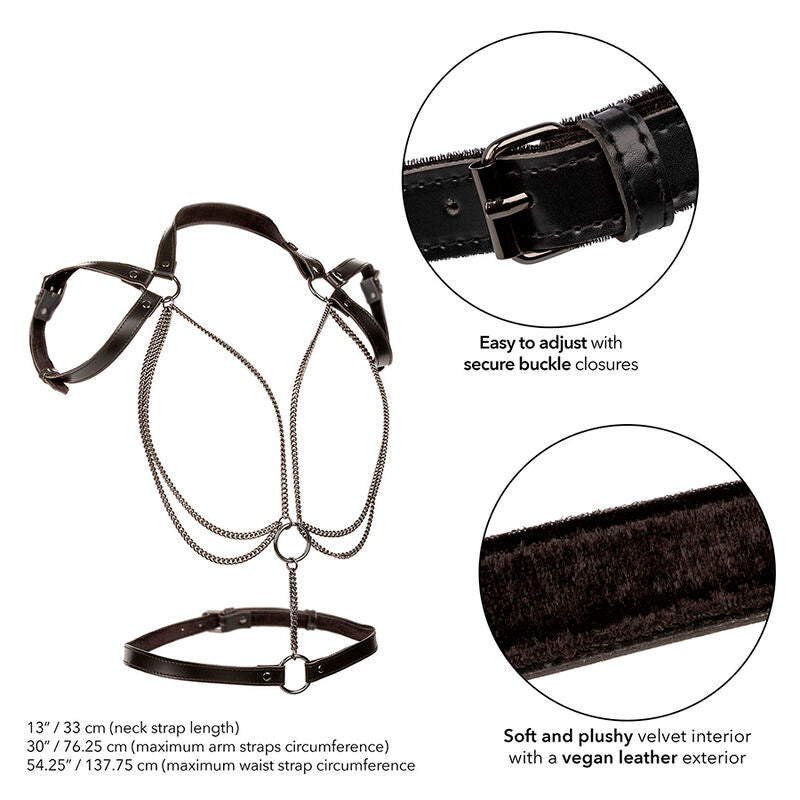 CALEXOTICS - EUPHORIA MULTICHAIN HALTER HARNESS PREMIUM PLUS SIZE - 3