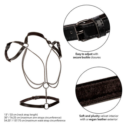 CALEXOTICS - EUPHORIA MULTICHAIN HALTER HARNESS PREMIUM PLUS SIZE - 3