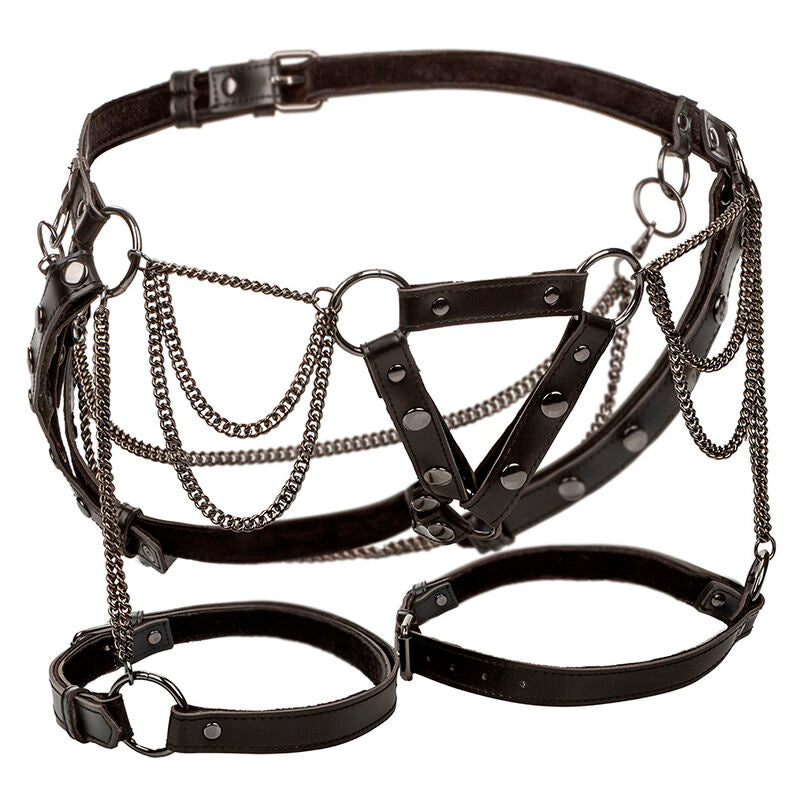 CALEXOTICS - EUPHORIA MULTICHAIN THIGH HARNESS PREMIUM PLUS SIZE - 5
