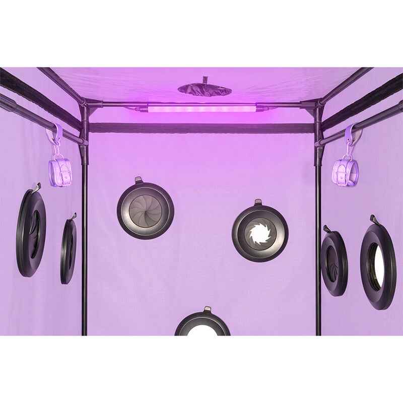 SECRET DOME - KINK CLUB CABIN SCANDALE VIOLA