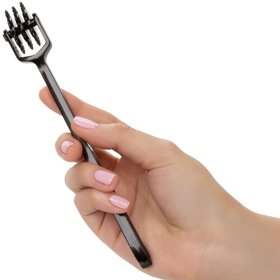 CALEXOTICS - TRIPLE WHEEL OF PLEASURE SCANDAL