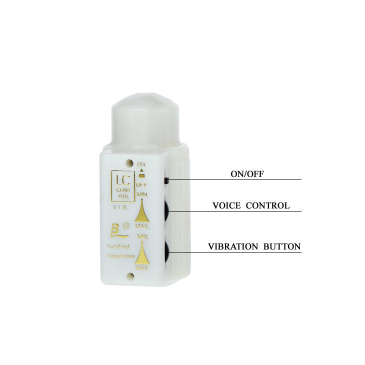 BAILE - MR BIG REALISTIC MASTURBATOR WITH PENIS AND ANUS