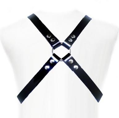 LEATHER BODY - BASIC HARNESS - 1