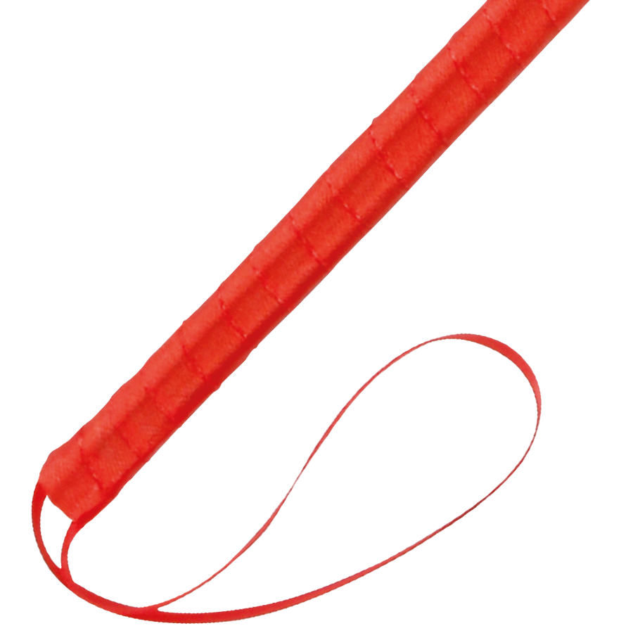 DARKNESS - RED STIMULATING PEN 24CM - 4