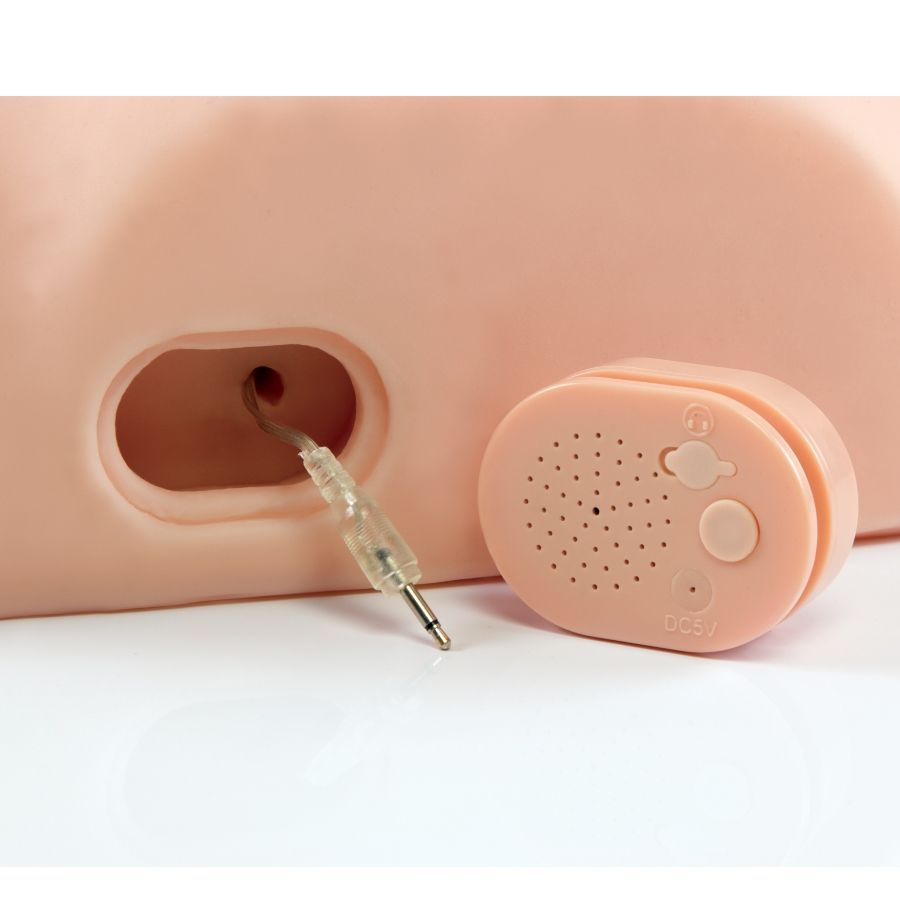 PDX MALE - INTERACTIVE MALE FUCK HIM SILLY