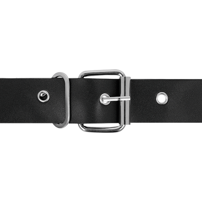 HARNESS ATTRACTION - RNES TAYLOR DELUXE 18 CM -O- 4.5 CM - 2
