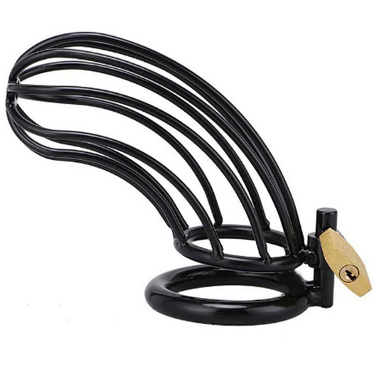 METAL HARD - BLACK BIRD CHASTITY RING CAGE - 1