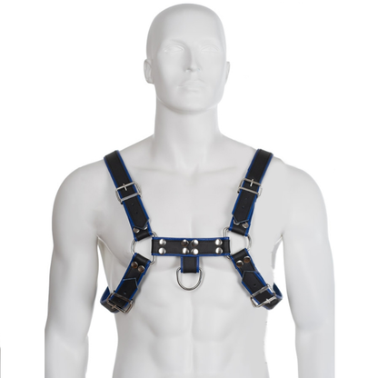 LEATHER BODY - BLUE AND BLACK LEATHER HARNESS CHEST BULLDOG - 2