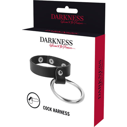 DARKNESS - METAL RING FOR THE PENIS AND TESTICLES - 5